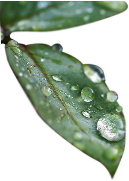 Eşit Tanecikli Uygulama