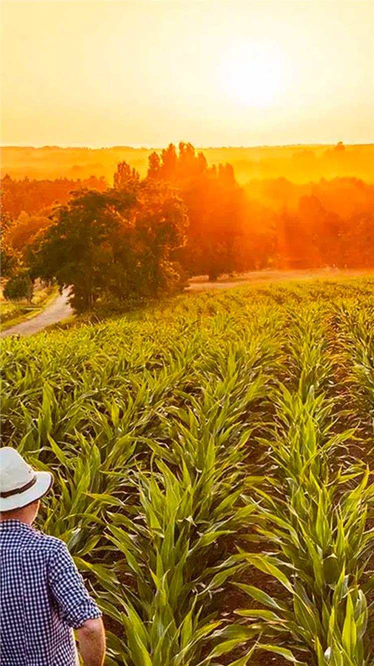 Uzman Ziraat Mühendisi Kadromuz İle