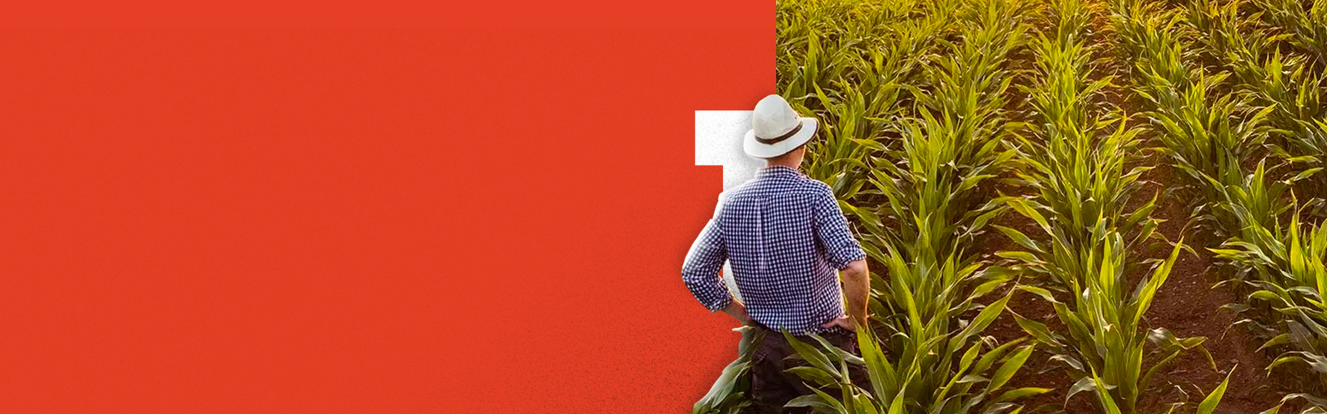 Uzman Ziraat Mühendisi Kadromuz İle